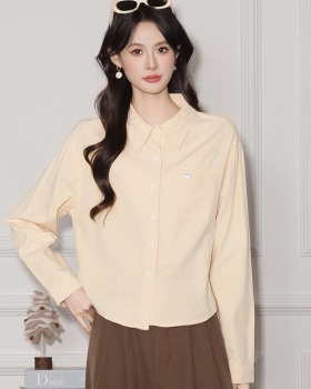 Commuting shirt autumn and winter small shirt