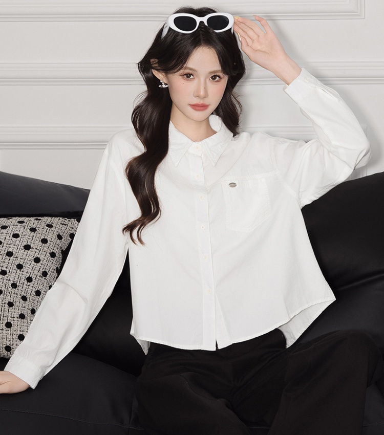 Commuting shirt autumn and winter small shirt