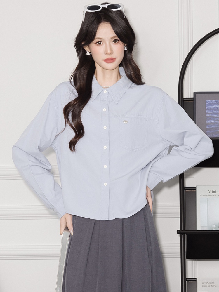 Commuting shirt autumn and winter small shirt