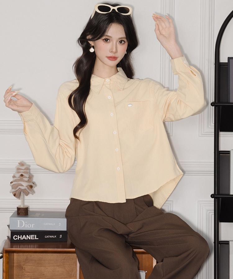 Commuting shirt autumn and winter small shirt