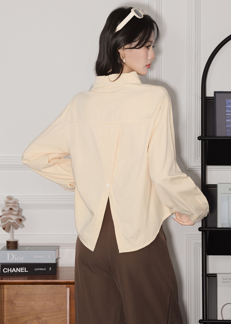 Commuting shirt autumn and winter small shirt