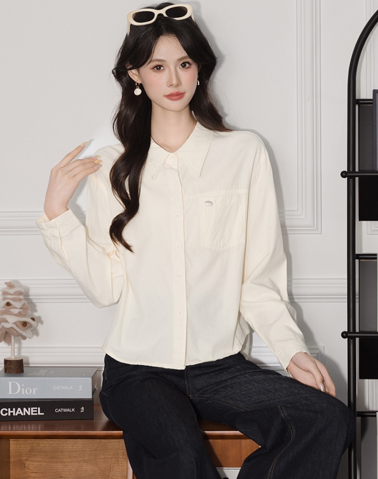 Commuting shirt autumn and winter small shirt