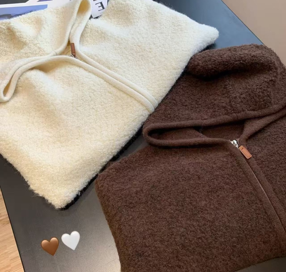 Zip autumn coat lazy Korean style tops for women