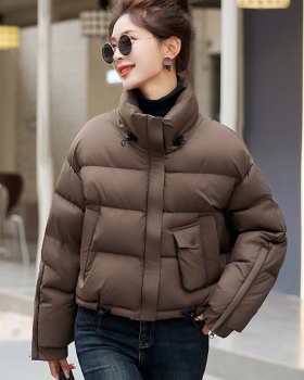Western style coat show high down coat for women