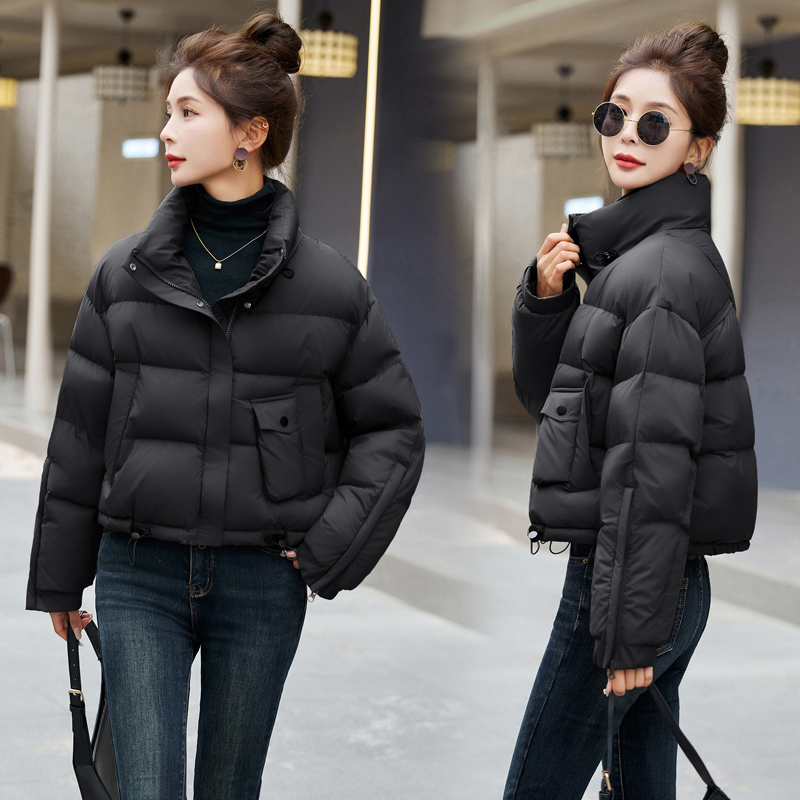 Western style coat show high down coat for women