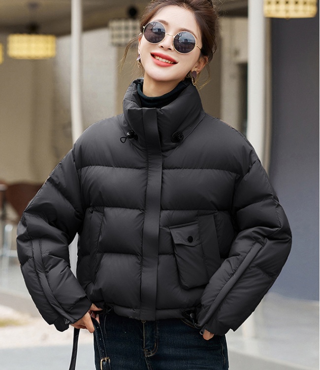 Western style coat show high down coat for women