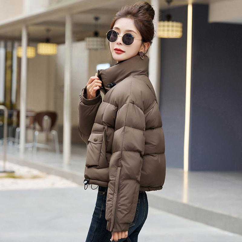 Western style coat show high down coat for women