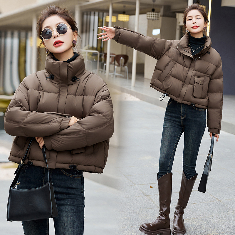 Western style coat show high down coat for women