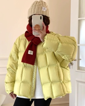 Thick winter down coat round neck bread clothing for women