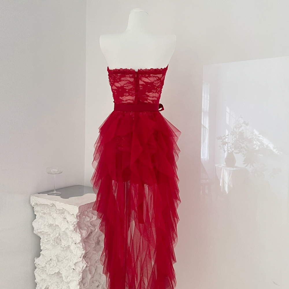 Retro christmas package hip long trailing lace dress