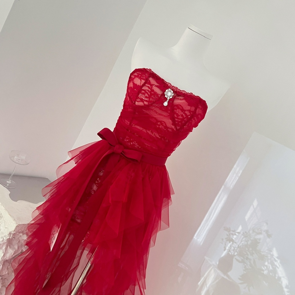 Retro christmas package hip long trailing lace dress