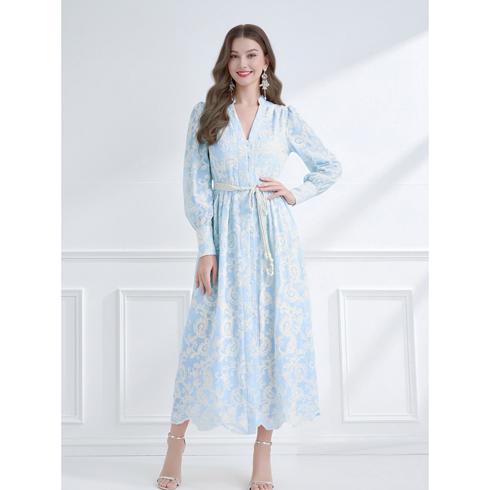 Embroidered V-neck lantern sleeve lace dress