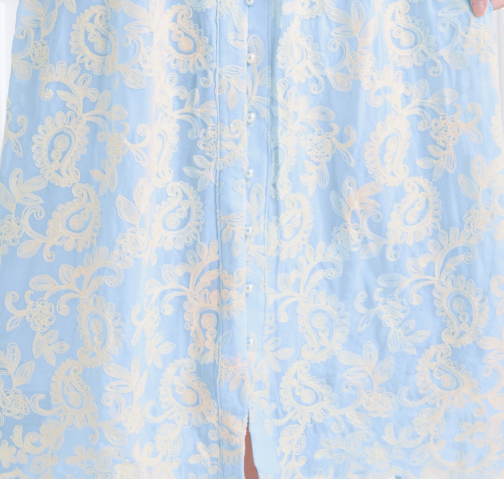 Embroidered V-neck lantern sleeve lace dress