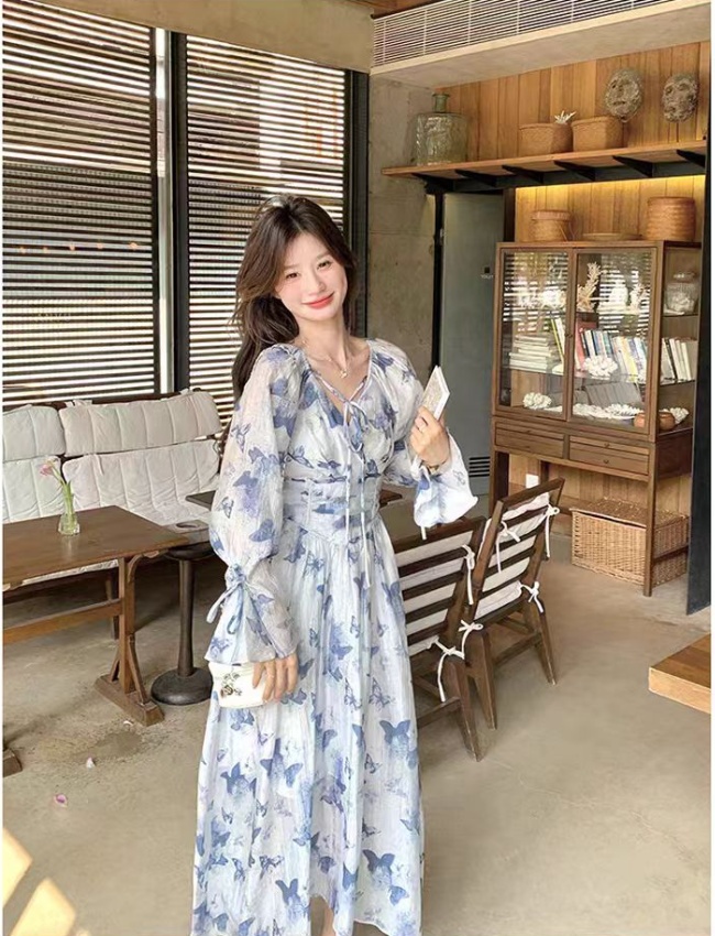 Printing Korean style dress pinched waist long dress