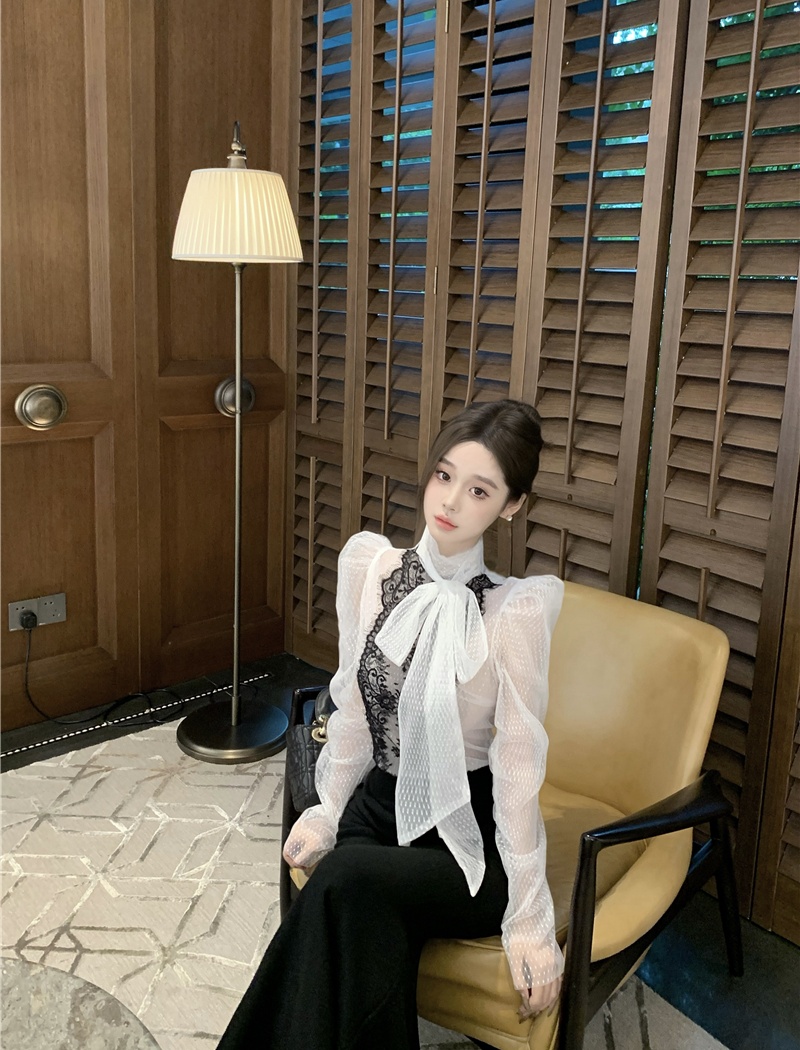 Lace temperament perspective grid polka dot shirt for women