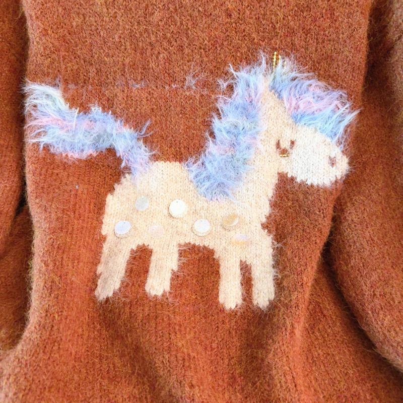 Autumn and winter sweater pullover tops for women