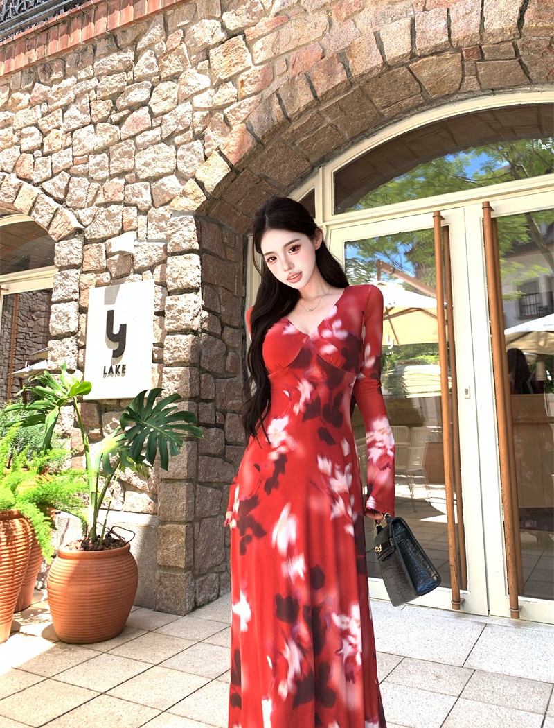 V-neck autumn long Casual printing retro dress