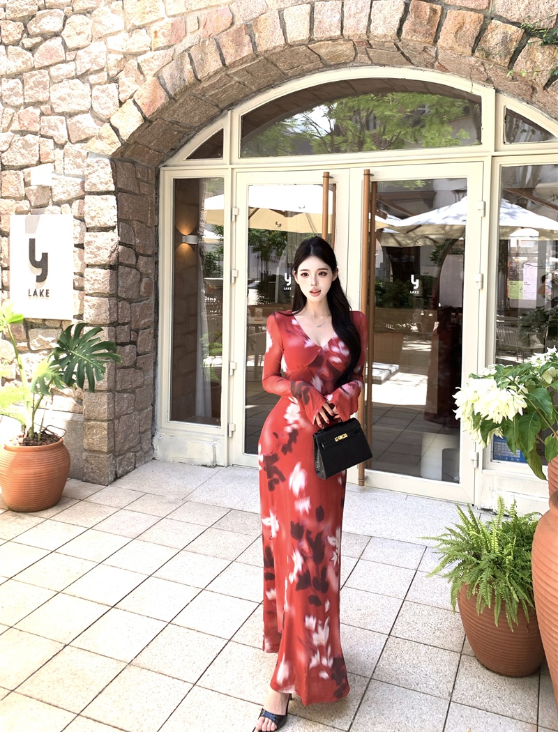 V-neck autumn long Casual printing retro dress