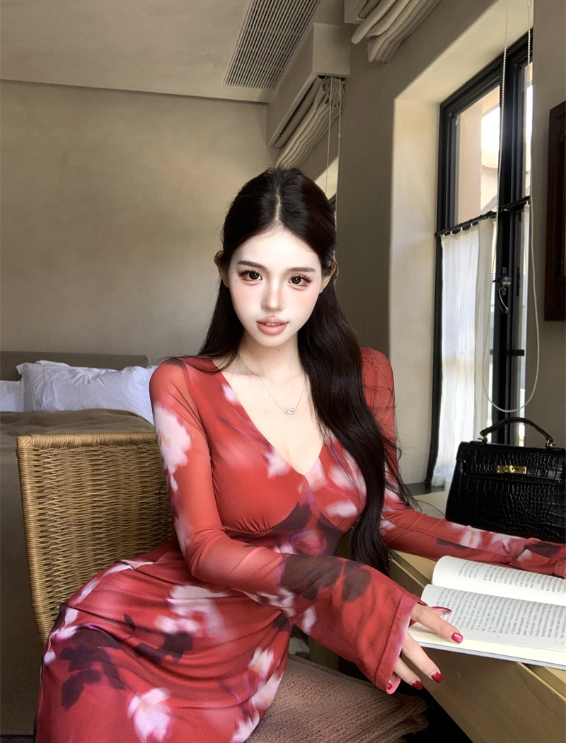 V-neck autumn long Casual printing retro dress