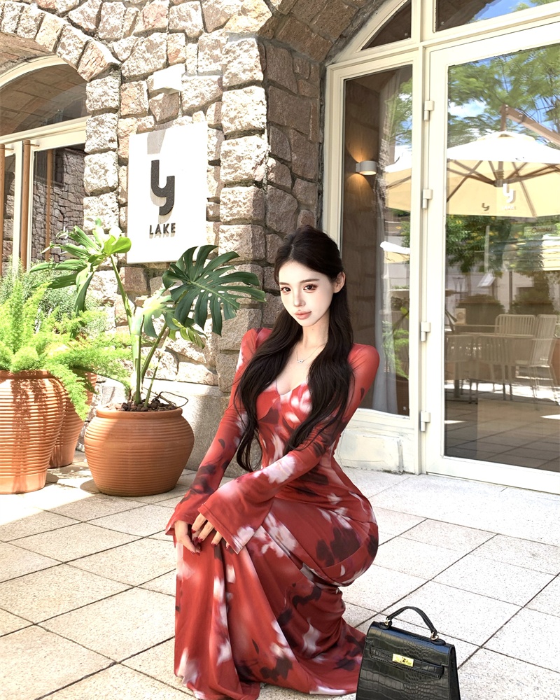 V-neck autumn long Casual printing retro dress