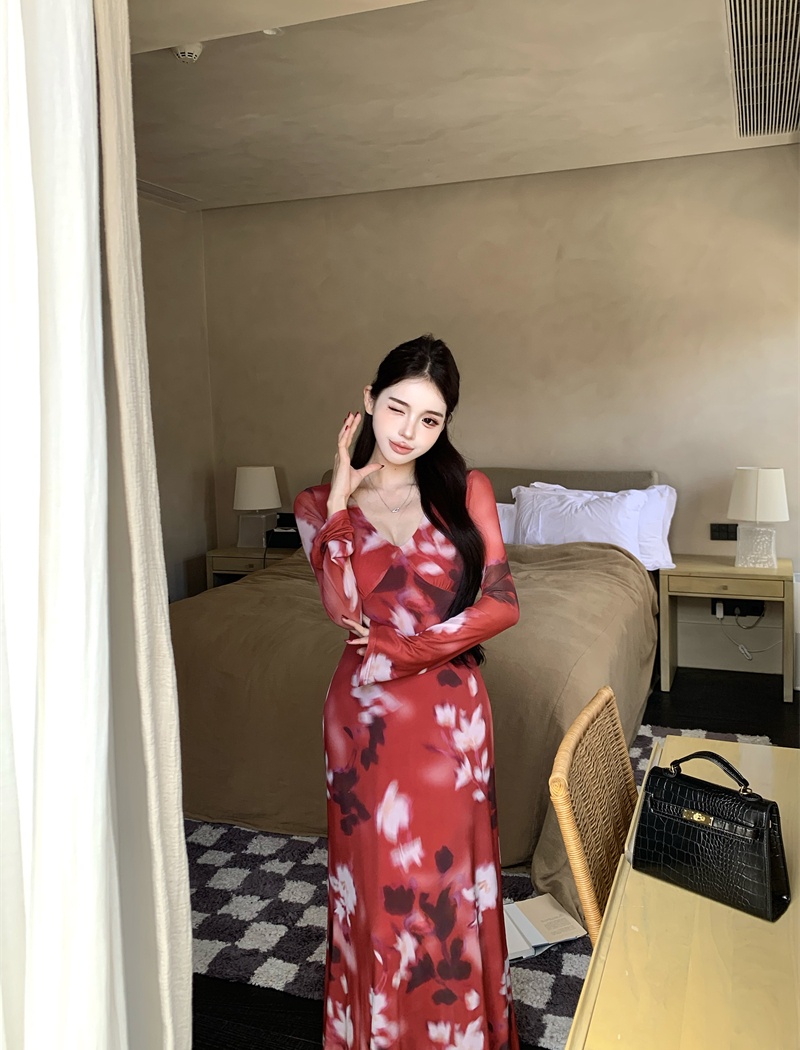 V-neck autumn long Casual printing retro dress