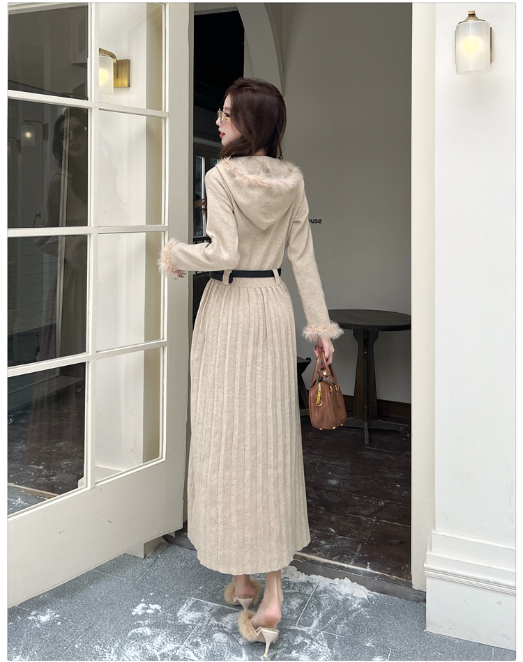 Hooded slim dress temperament long dress for women