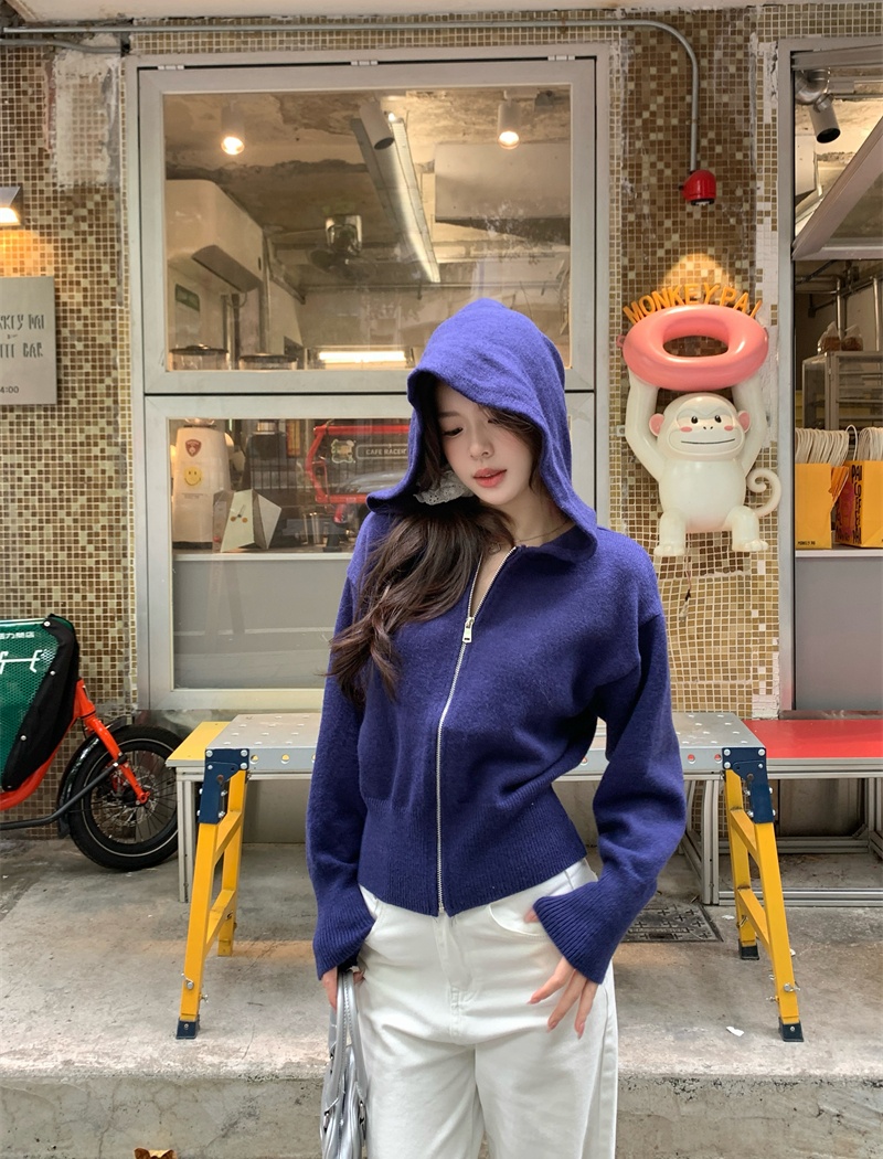 Korean style outside the ride tops autumn and winter hoodie