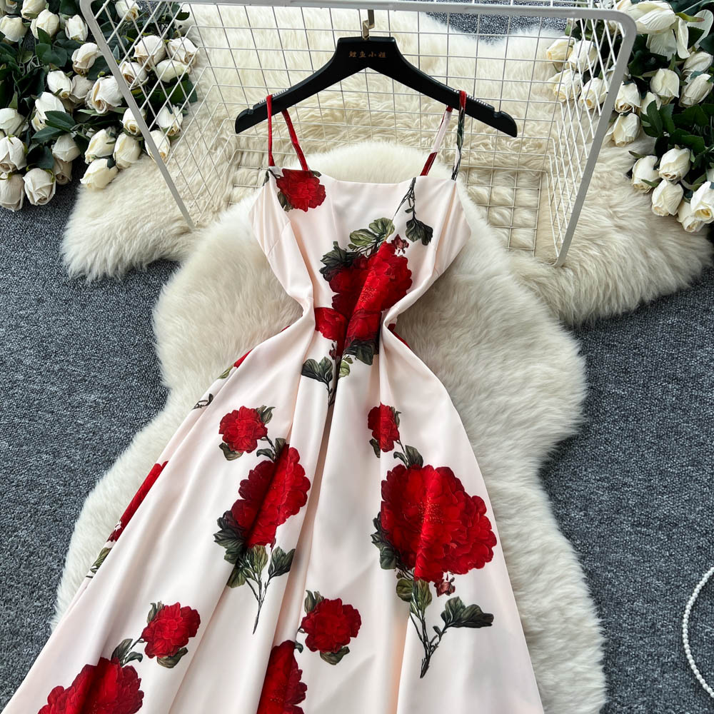 Printing dress long dress for women