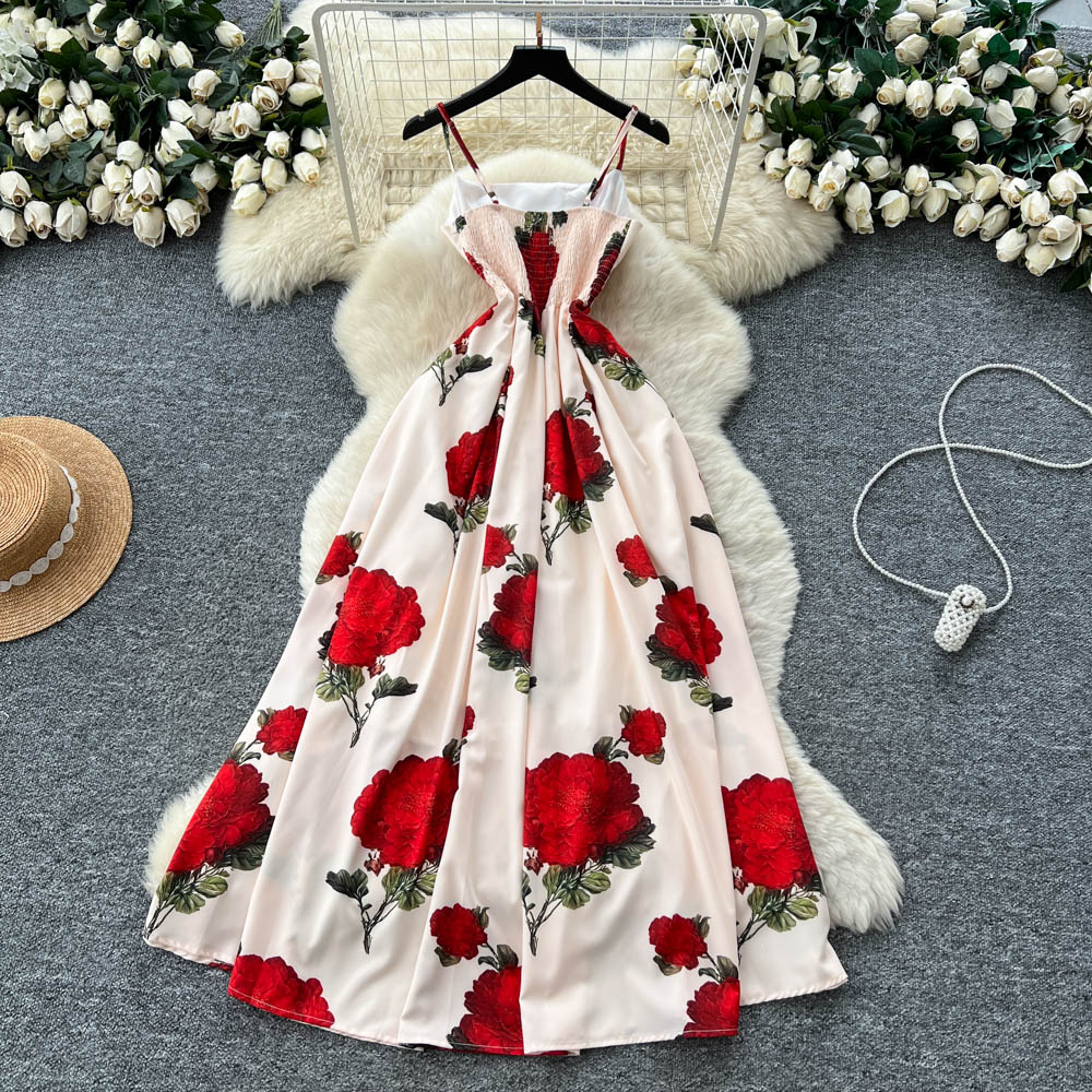 Printing dress long dress for women
