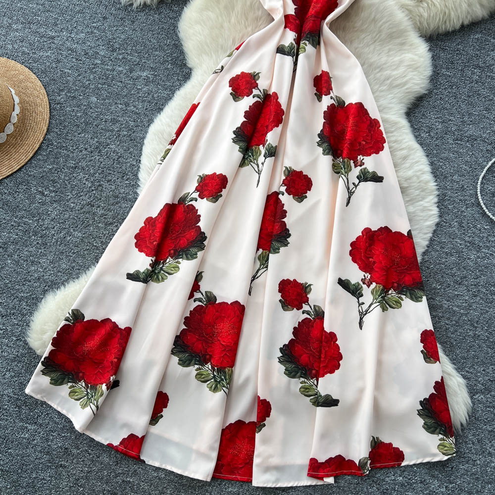 Printing dress long dress for women