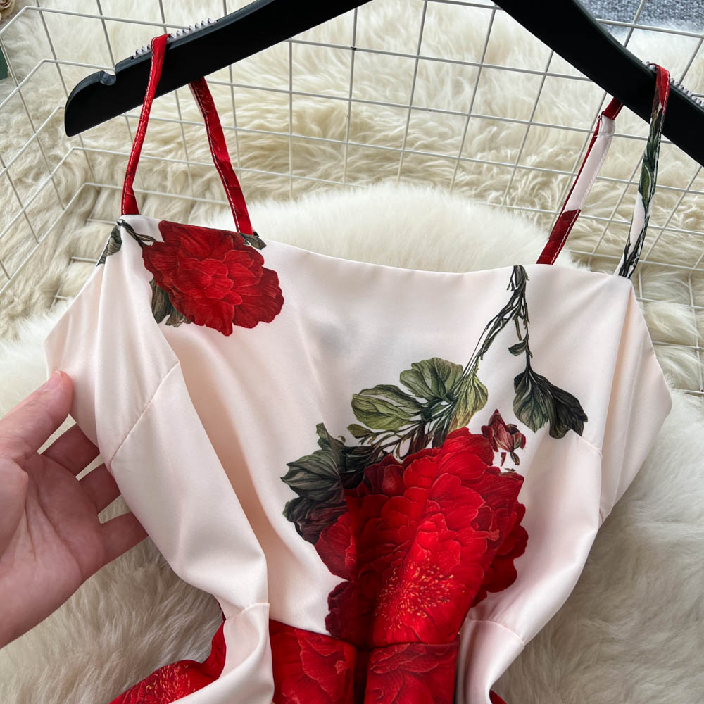 Printing dress long dress for women