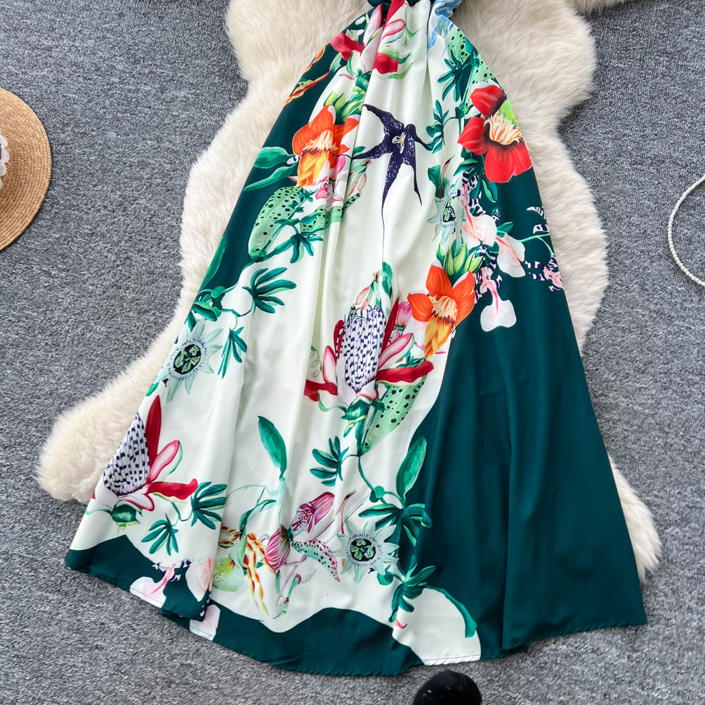 Printing dress long dress for women