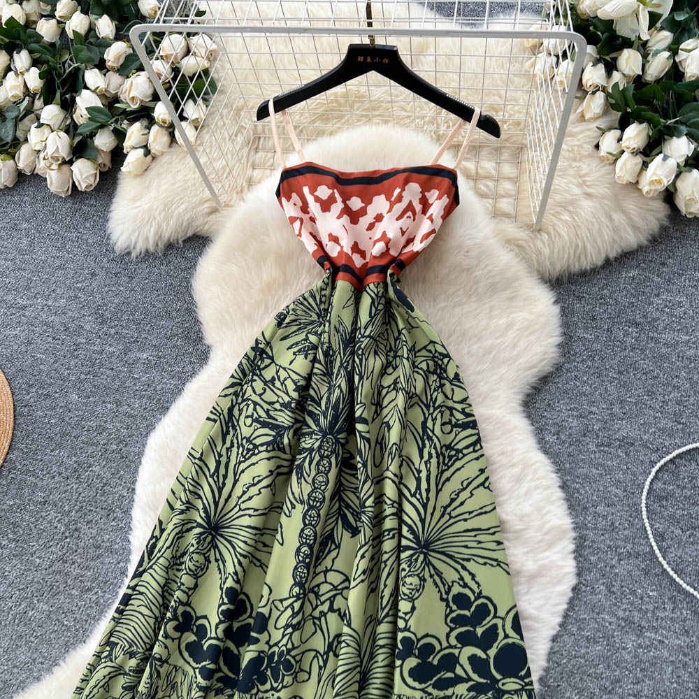 Printing dress long dress for women