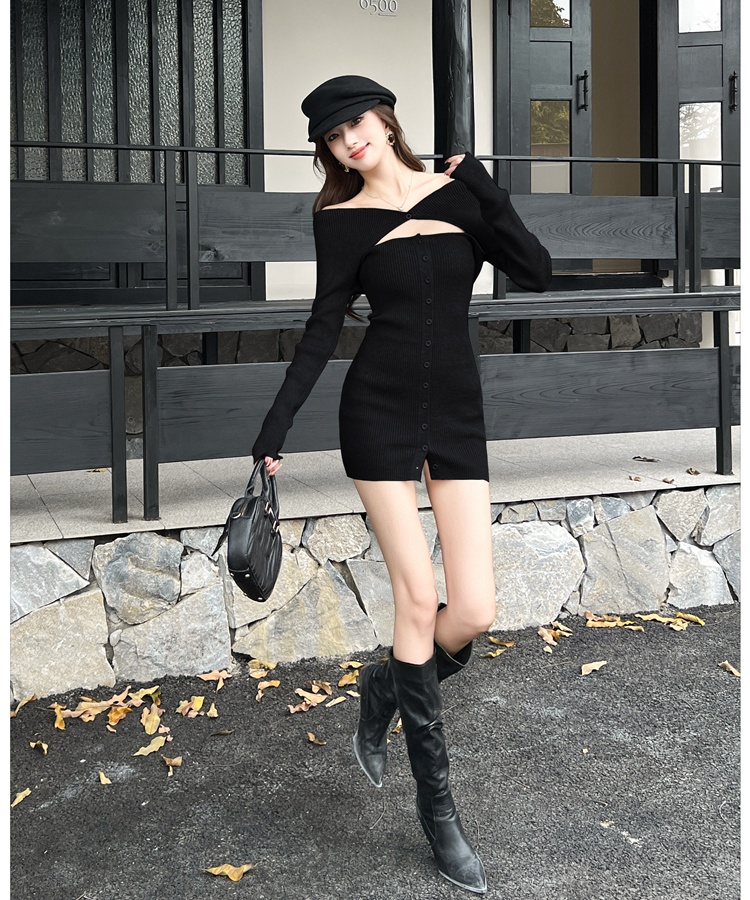 Slim T-back autumn and winter dress for women