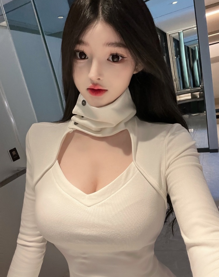 High collar bottoming shirt hollow T-shirt for women