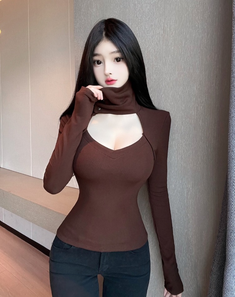 High collar bottoming shirt hollow T-shirt for women