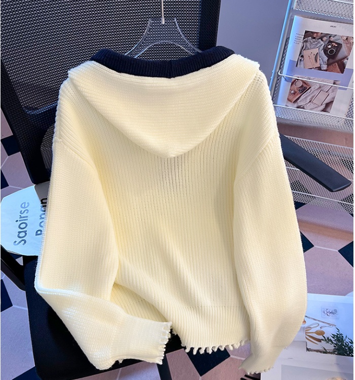 Knitted long sleeve tops Korean style spring sweater for women