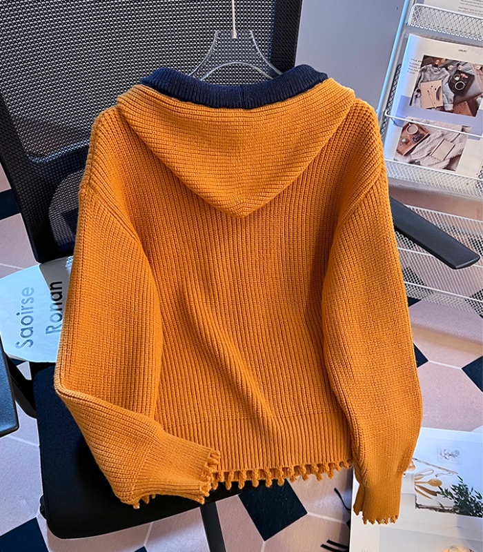 Knitted long sleeve tops Korean style spring sweater for women