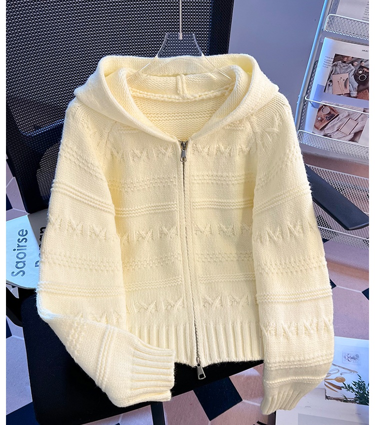 Spring apricot crochet cardigan double zip hooded tops