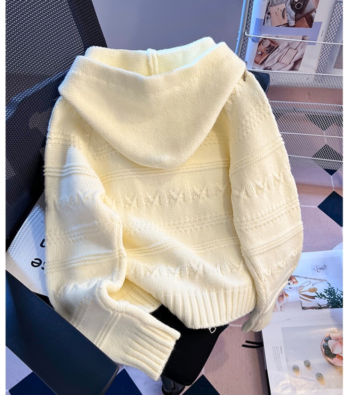 Spring apricot crochet cardigan double zip hooded tops