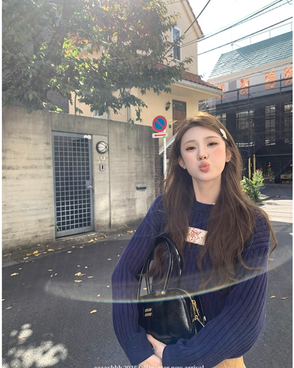 Knitted pullover sweater long sleeve embroidery tops