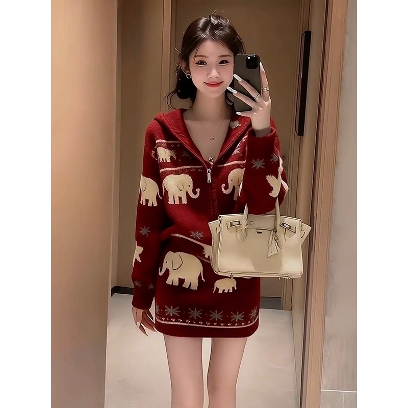 Lazy skirt autumn and winter tops 2pcs set for women