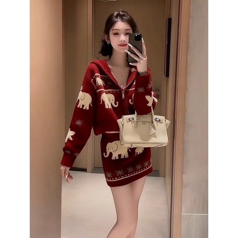 Lazy skirt autumn and winter tops 2pcs set for women