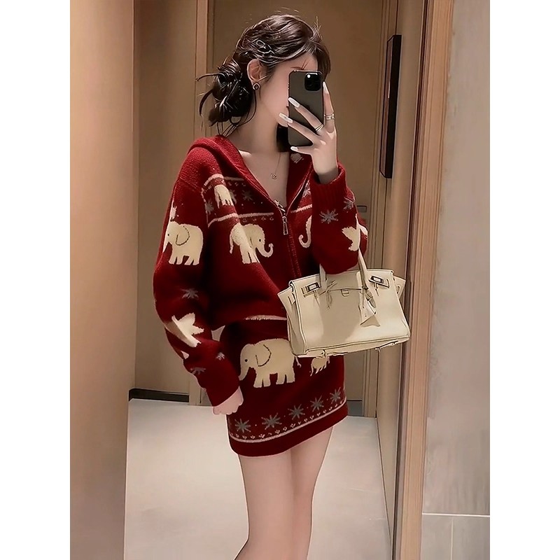 Lazy skirt autumn and winter tops 2pcs set for women