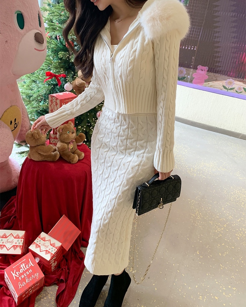 Winter jacket large fur collar skirt a set for women