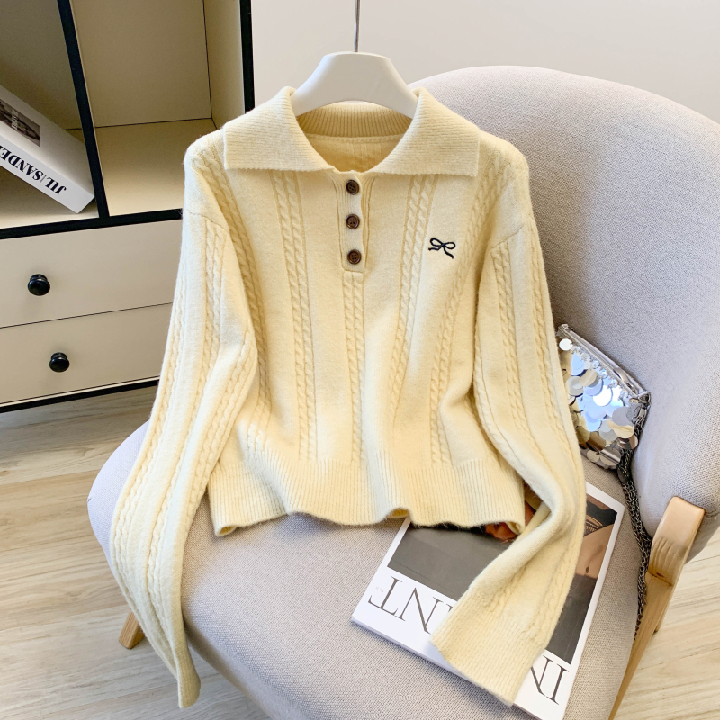 All-match slim loose sweater twist embroidery tops for women