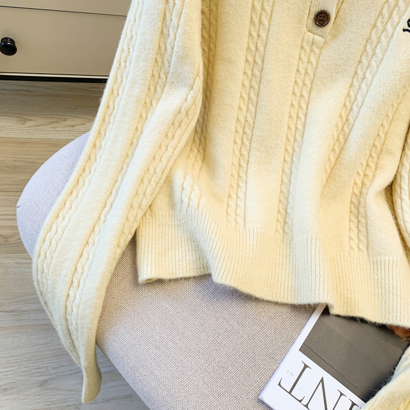 All-match slim loose sweater twist embroidery tops for women