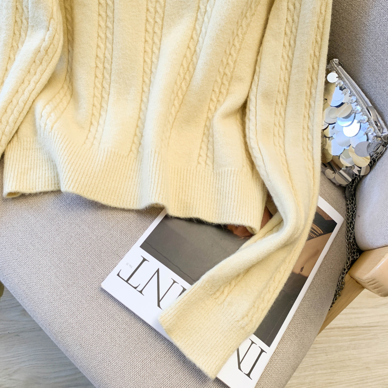 All-match slim loose sweater twist embroidery tops for women