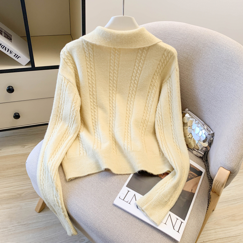 All-match slim loose sweater twist embroidery tops for women