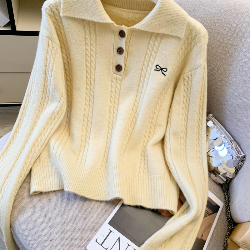 All-match slim loose sweater twist embroidery tops for women